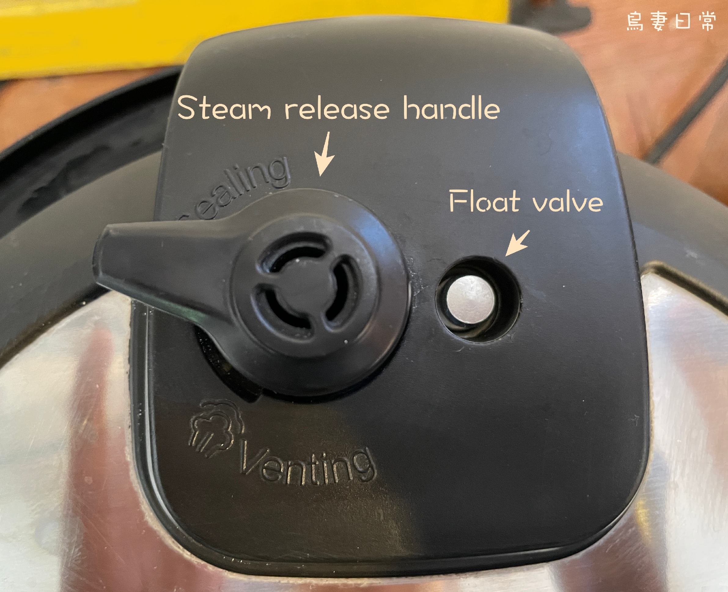 Instant pot 鍋蓋上的 float valve位置